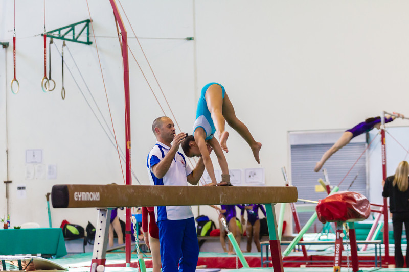 Free Online Courses to Become a Gymnastics Coach - Alison