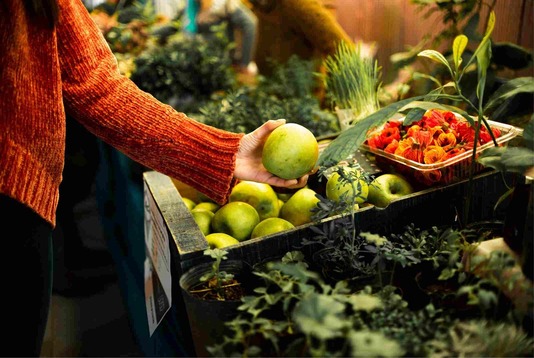 Agriculture, Food, and Natural Resources