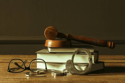 Law, Public Safety, Corrections, and Security