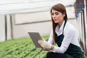 Diploma em Gestão da Inovação para Manufatura de Alimentos e Bebidas