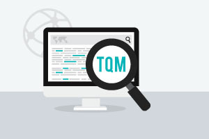 Understanding Cost of Quality and TQM Tools