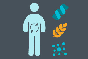 Human Nutrition - Understanding Macronutrient Metabolism