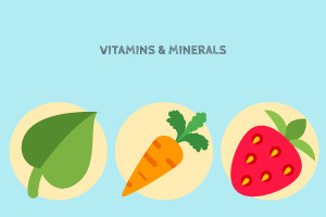 Corrupt - Human Nutrition - Introduction to Micronutrients