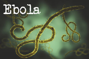 Understanding the Ebola Virus  