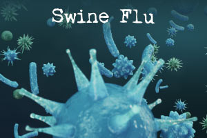 Suina Influenza - Cause, Effetti e Trattamento