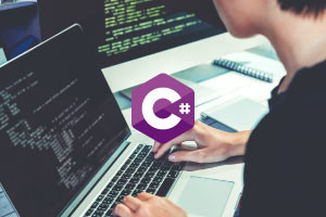 visual studio c# training