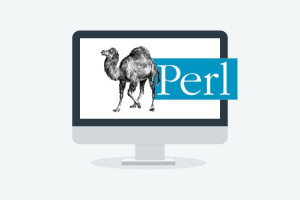 Fundamentals of Perl Programming