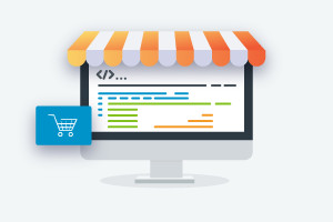 Diploma in E-Commerce Web Development