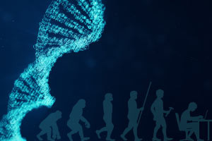 Biologia - Evoluzione, Selezione naturale e DNA