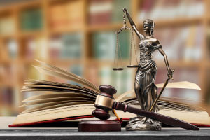 Legal Studies - Laws and the Judicial System