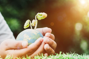 Introduction to Environmental Sustainability Course Online | Alison