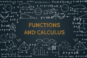 Functions and Calculus 