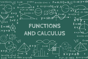 Functions and Calculus 