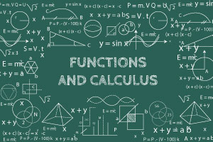 Strand 5 Leaving Certificate Ordinary Level Functions And Calculus Revised