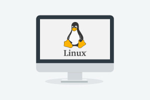 Script entre Unix/Linux y Shell-Crash Course