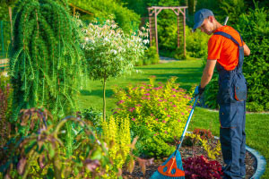 Diplôme en conception et entretien des jardins