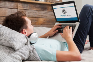 Build WordPress Siti Che Attirano Il Traffico Libero