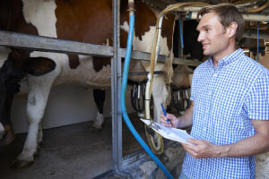 Food Laws and Standards in the Dairy Industry