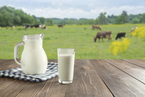 Introduction to Milk Composition