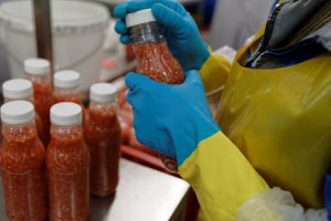 Introduction to Food Processing and Preservation