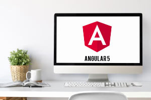 Construir un sitio de comercio electrónico con Angular 5