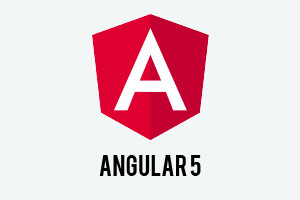 A partire da Angular 5