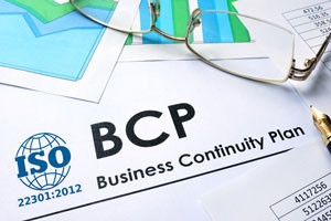 ISO 22301:2019 - Essentials of Business Continuity Management Systems (BCMS)