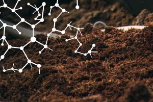 Ciências do solo e Tecnologia-Propriedades do Soil e Processos Químicos