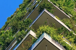 Arquitectura sostenible: Consideraciones climáticas y edificios verdes