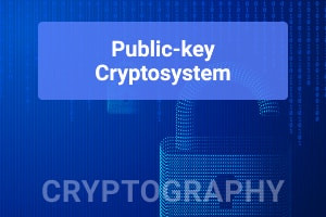 Criptografia: Cryptosystem de chave pública