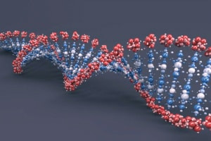 Genetic Engineering - Theory and Application 