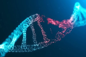 Introduction à la détérioration de l'ADN