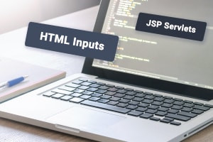 HTML Inputs and JSP Servlets