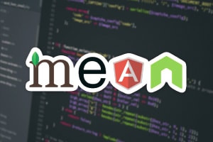 Diploma en Secure MEAN Stack Developer