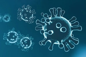 Principes de base de la virologie