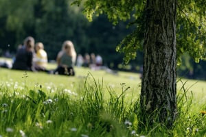 Diploma en Ecología y Sociedad