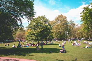 Diploma in Ecologia e Interazione umana con la Natura