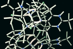 Acides aminés et macromolécules