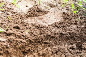 The Fundamentals of Soil Characteristics
