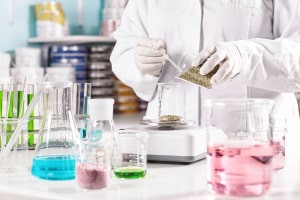 Diploma in Experimental Biotechnology