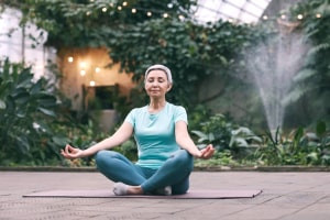 Meditação Mindfulness: O Caminho Para A Sabedoria E O Sucesso