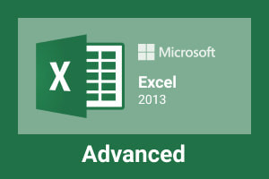 MS Excel 2013 Advanced