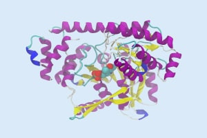 Structure des protéines