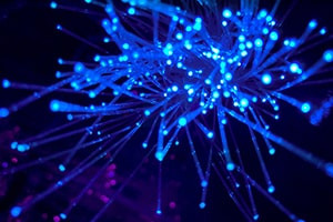 An Introduction to Optical Networks