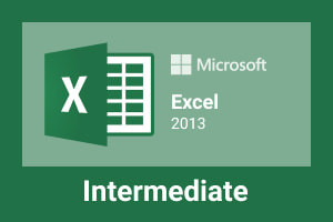 Diploma in MS Excel 2013 - Intermediate