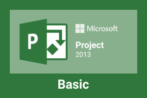 MS Project 2013 Basic