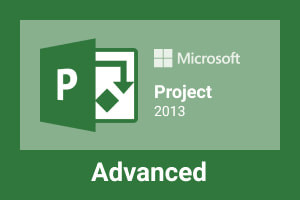 MS Project 2013 Advanced