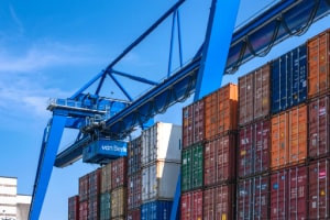 Imbarco Stowage Handling - Legname e Container Cargo