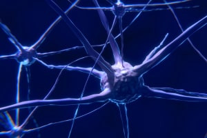 Understanding Action Potentials in Neural Networks
