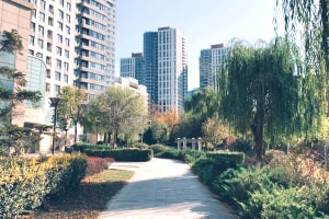 Jardinage urbain pour débutants